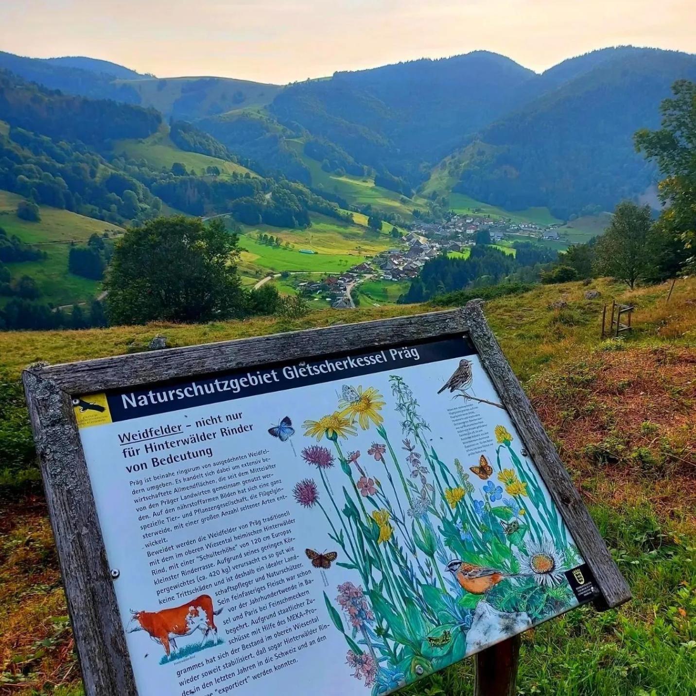 Ferienwohnungen Haus Hees Todtnau Luaran gambar