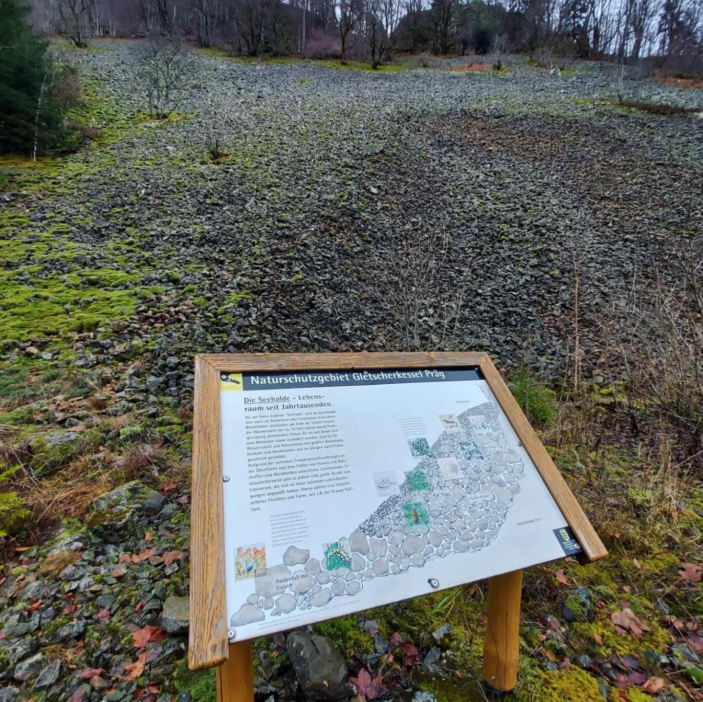 Ferienwohnungen Haus Hees Todtnau Luaran gambar