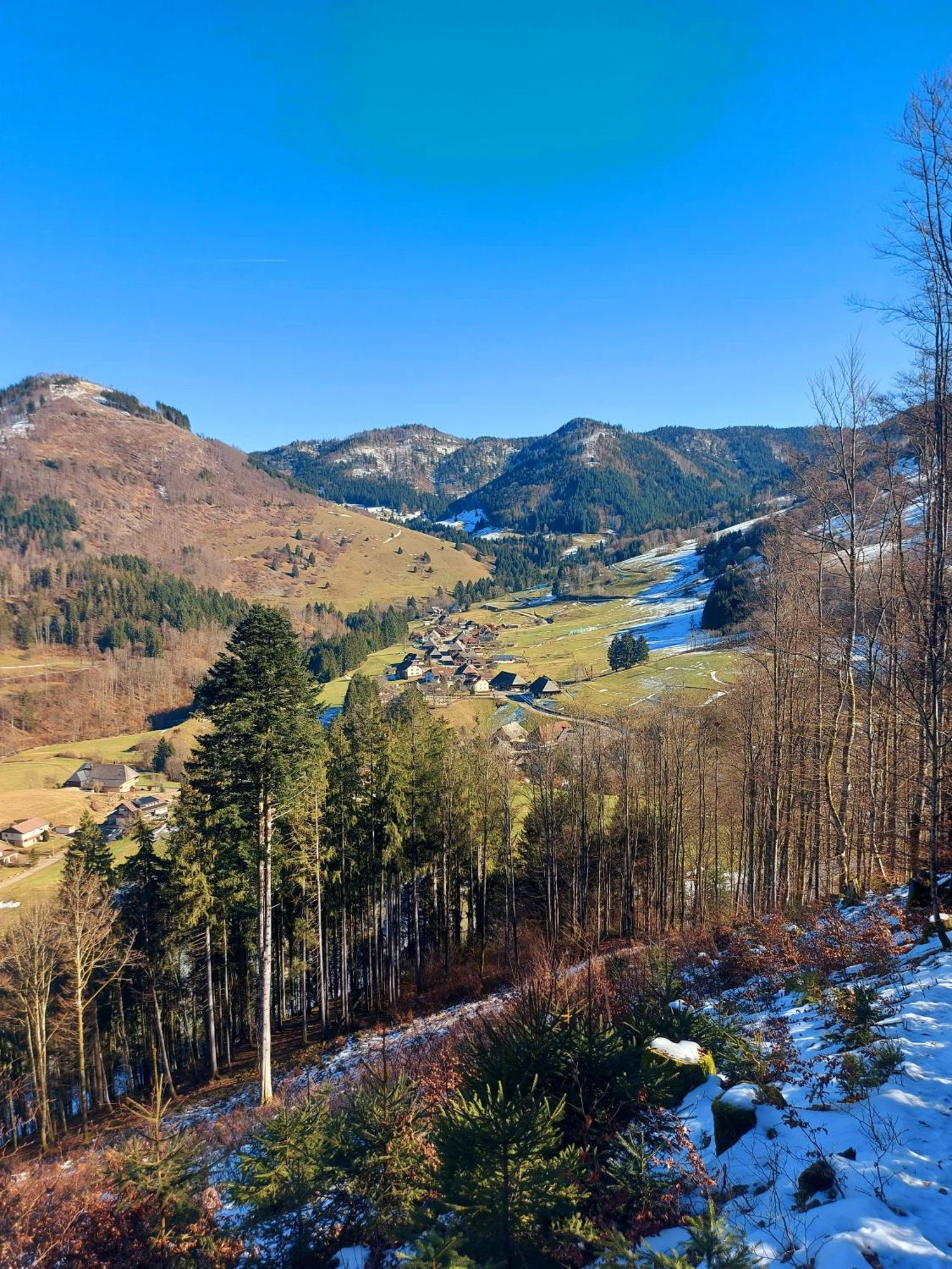 Ferienwohnungen Haus Hees Todtnau Luaran gambar