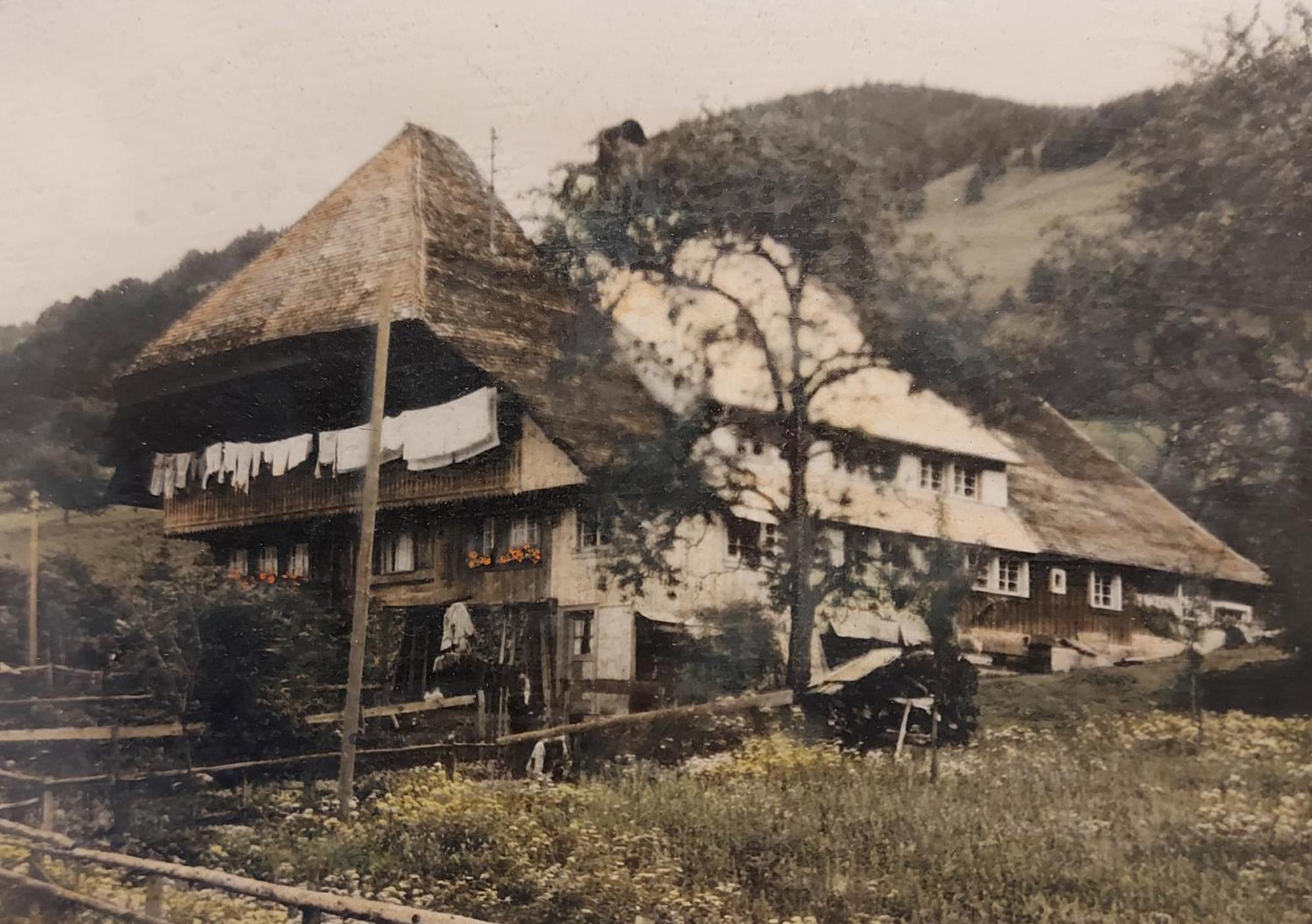 Ferienwohnungen Haus Hees Todtnau Luaran gambar