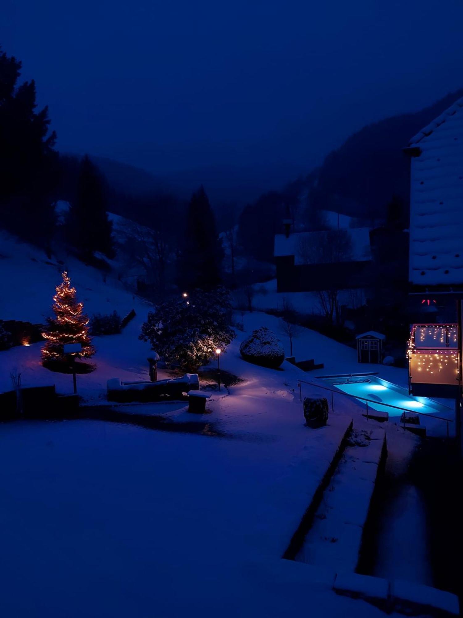 Ferienwohnungen Haus Hees Todtnau Luaran gambar