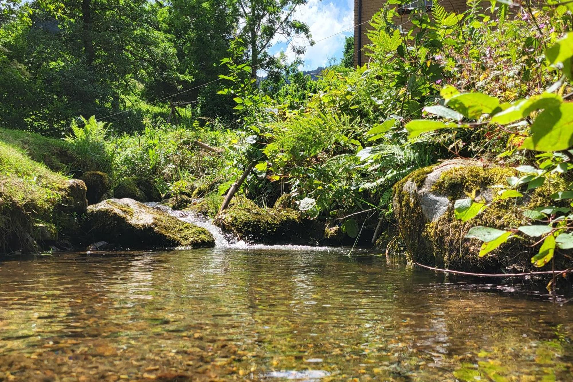 Ferienwohnungen Haus Hees Todtnau Luaran gambar